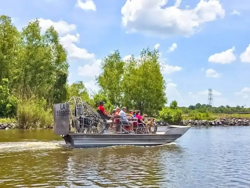 The Educational Advantages of New Orleans Swamp Boat Tours