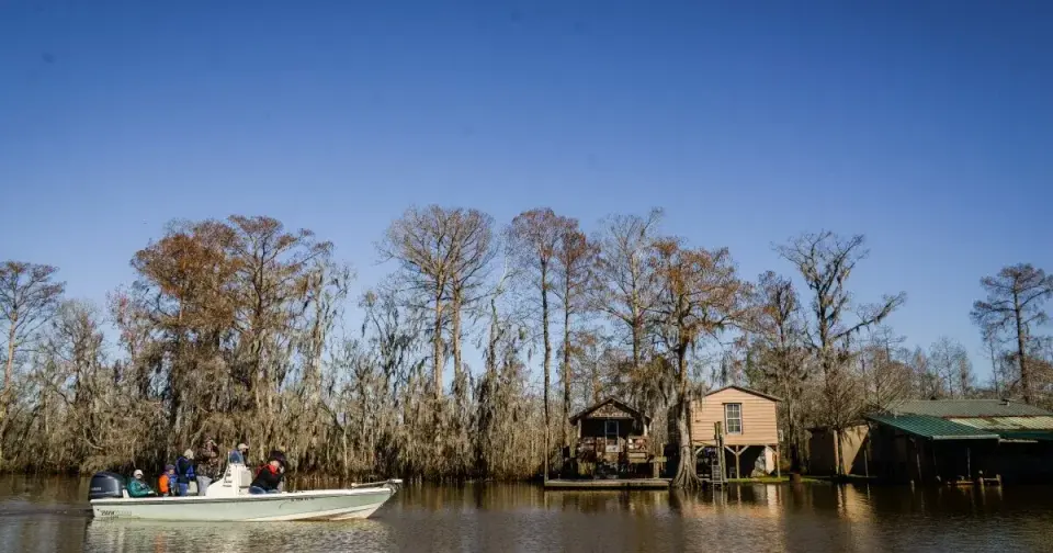 What's the Chilling Secret of Alligators in Winter?