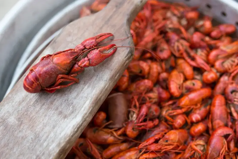 The Foods You MUST Try While in New Orleans