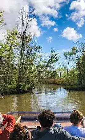 Scenic view from airboat on a New Orleans bayou