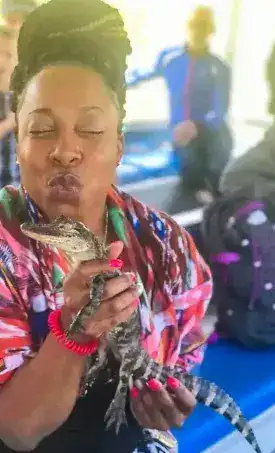 Guest kissing baby alligator