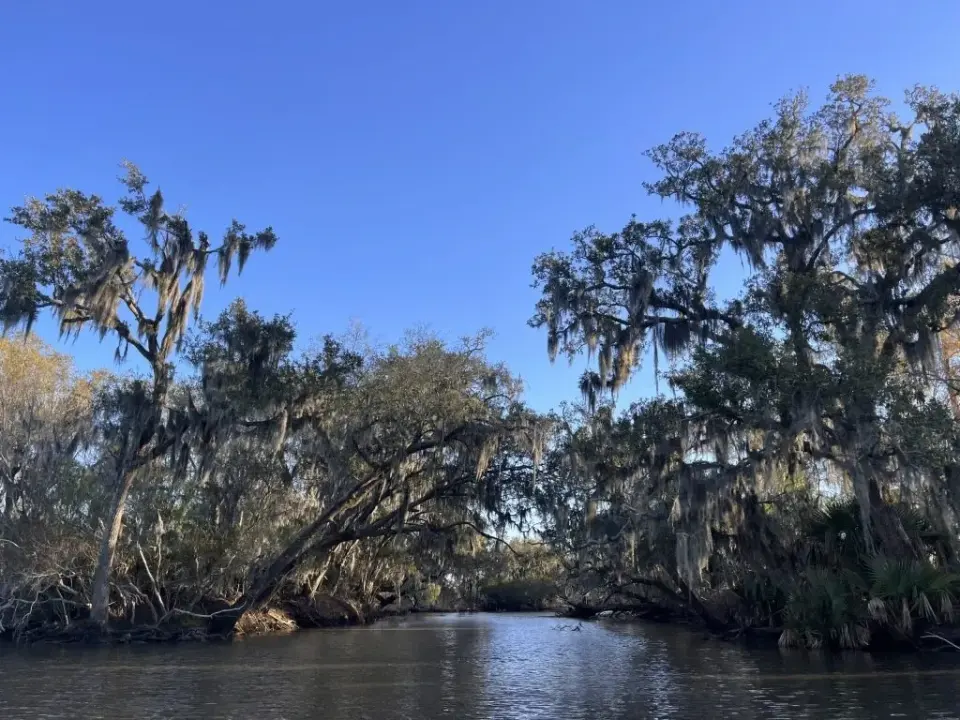 Is a Bayou a Swamp?