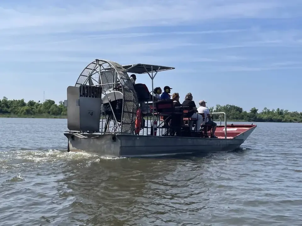 Unlocking the Mysteries of the Bayou in 2024