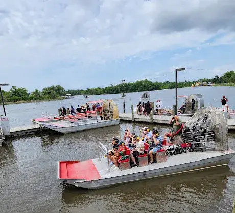 What to Look for in a Swamp Tour in New Orleans