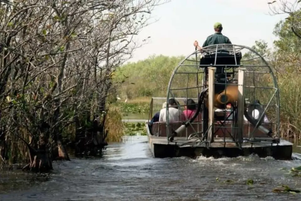 What To Wear On Your New Orleans Swamp Tour In Winter