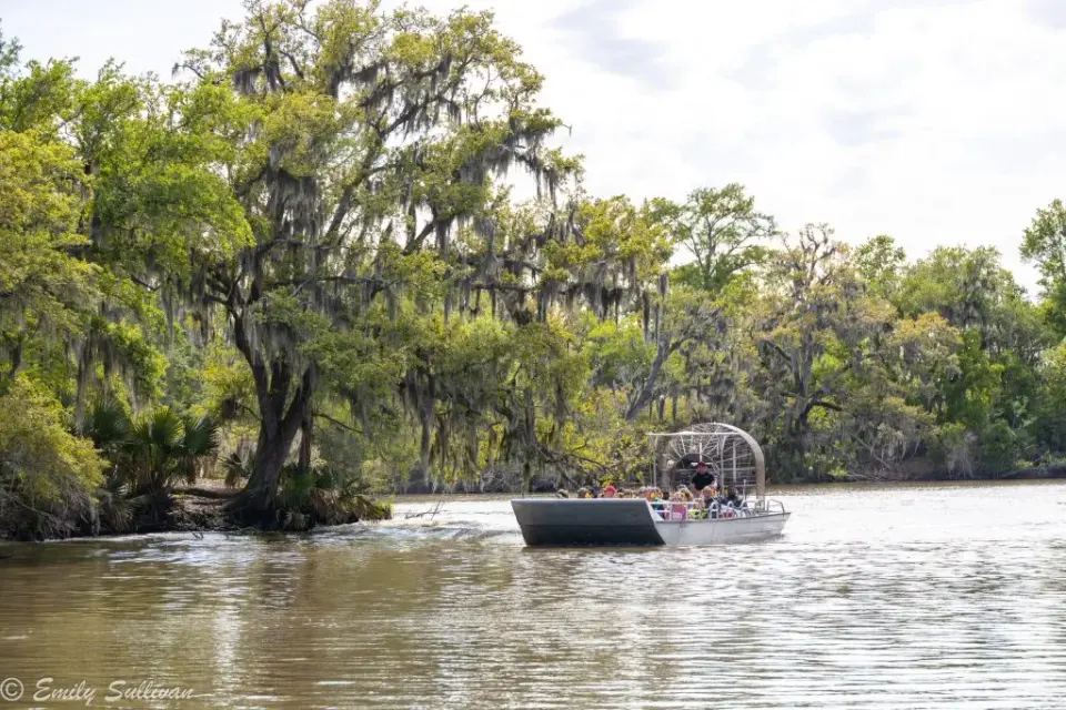 5 Reasons Why a Swamp Tour Should Be Part of Your Super Bowl Plans