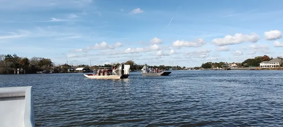 Things to do in New Orleans: Which Swamp Tour Is Right for You?