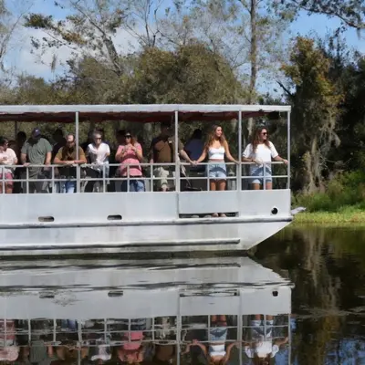 Families under the awning of a covered pontoon boat watching the bayou beneath Spanish moss