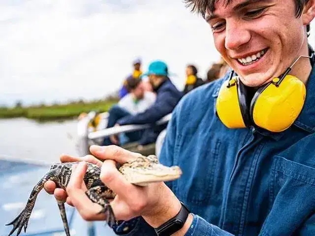Swamp tour guest holding a baby alligator on a New Orleans airboat tour