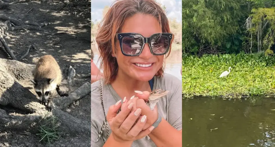 9 Reasons to Include a Louisiana Swamp Tour in Your Travel